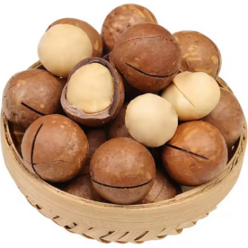 מקדמיה בקליפה טבעי משקל